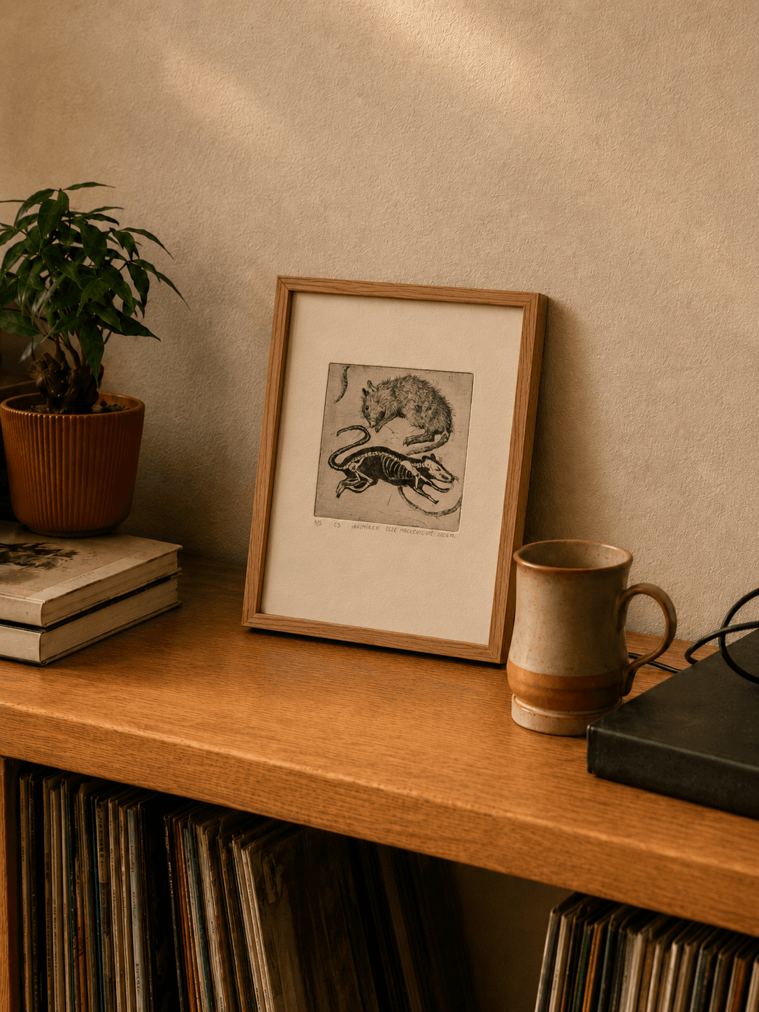 akimirka / a moment — framed in interior