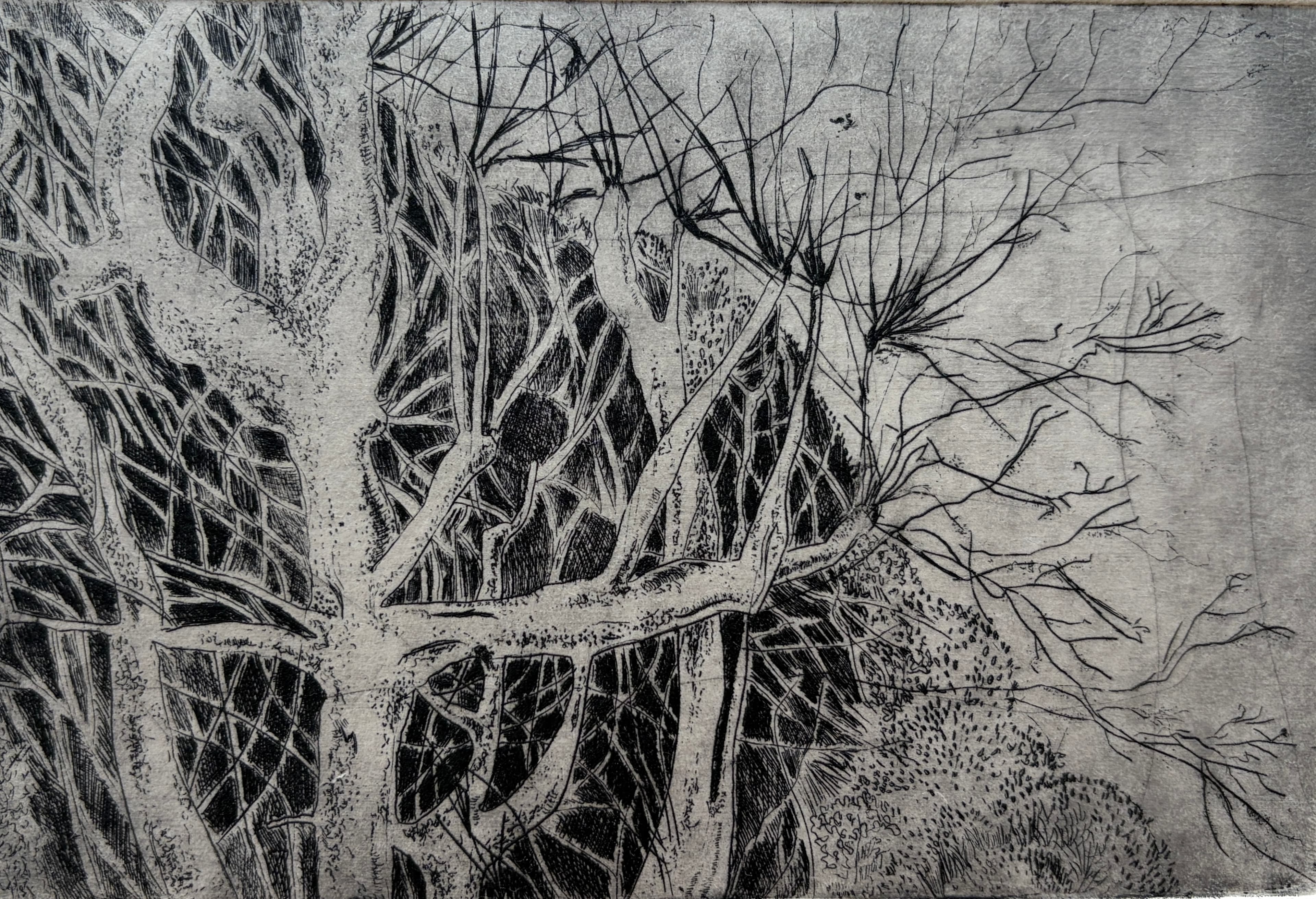 medžio arterija / arteries of the tree — etching