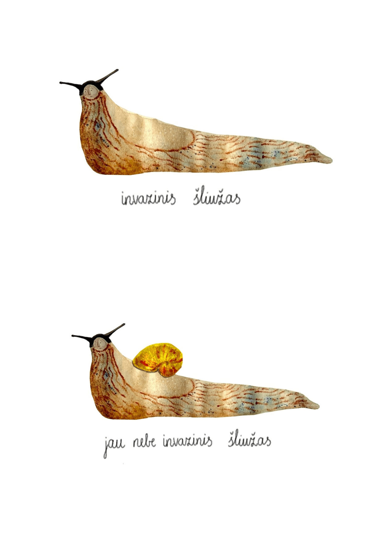 sluuug — postcard