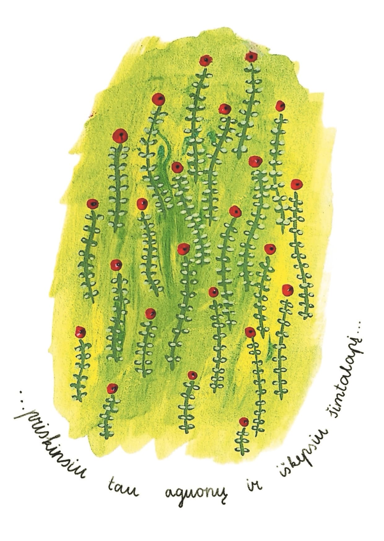 Illustration by elze.macke